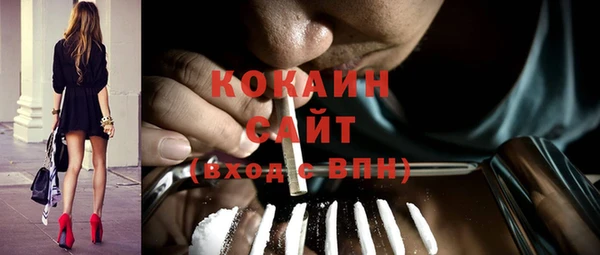 мяу мяу мука Гусев