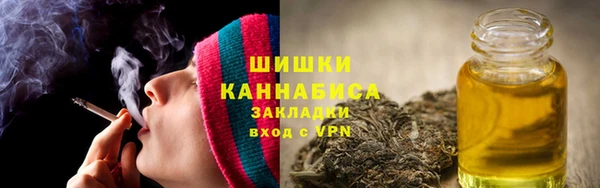 мяу мяу мука Гусь-Хрустальный