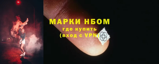 мяу мяу мука Гусь-Хрустальный
