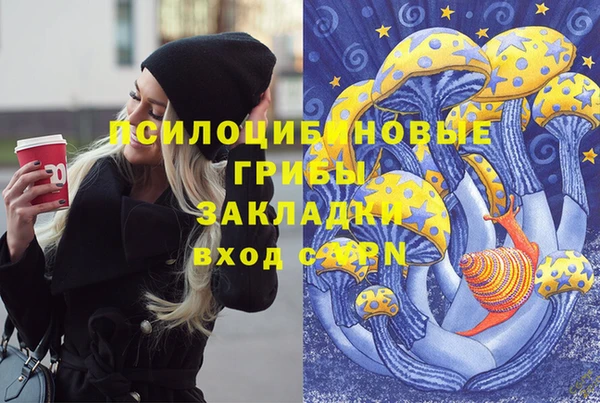 мяу мяу мука Гусев