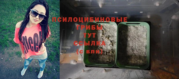 мяу мяу мука Гусев
