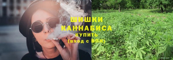 мяу мяу мука Гусь-Хрустальный