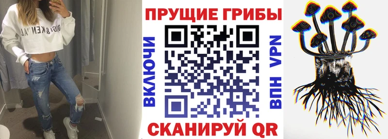 Галлюциногенные грибы мухоморы  как найти   Брюховецкая 