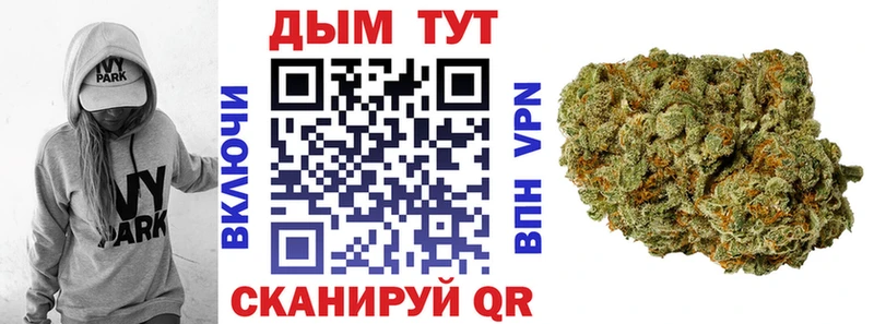 Конопля семена  Брюховецкая 